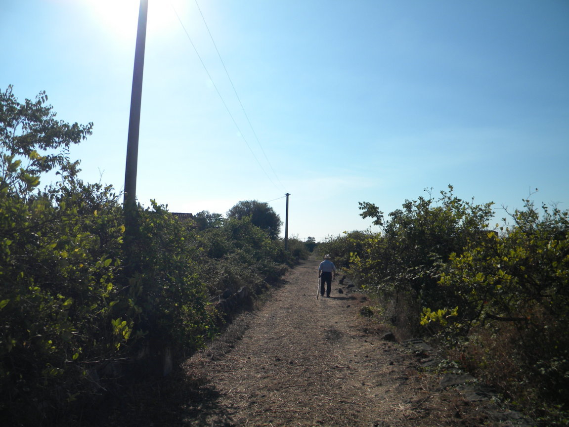 DSCN8114 .JPG